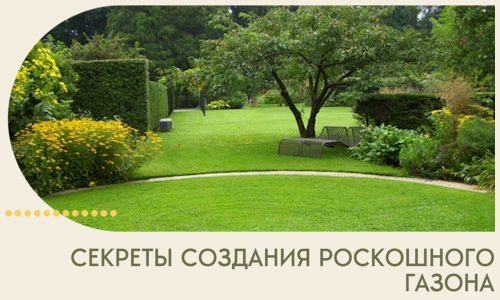 Секреты создания роскошного газона в Нижнеудинске