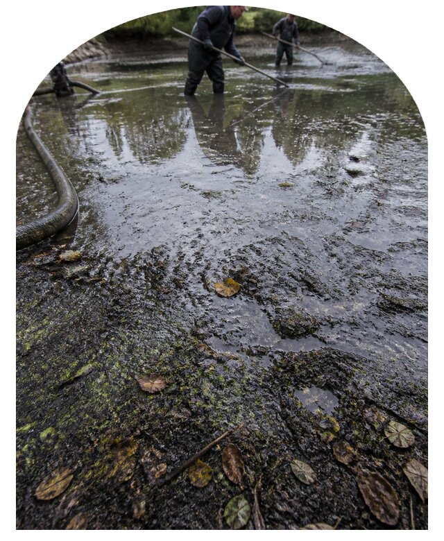 Очистка пруда в Нижнеудинске от ила мусора и водорослей с вывозом